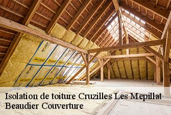 Isolation de toiture  cruzilles-les-mepillat-01290 Beaudier Couverture 