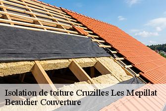 Isolation de toiture  cruzilles-les-mepillat-01290 Beaudier Couverture 