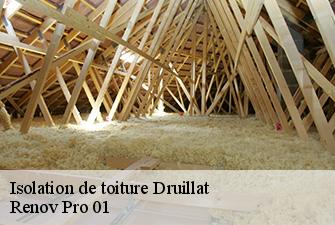Isolation de toiture  druillat-01160 Renov Pro 01
