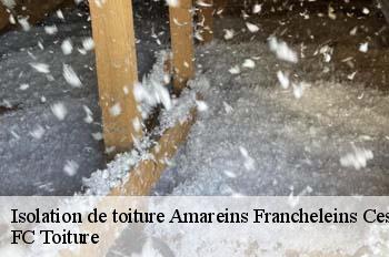 Isolation de toiture  amareins-francheleins-cesseins-01090 FC Toiture
