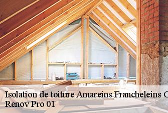 Isolation de toiture  amareins-francheleins-cesseins-01090 Renov Pro 01