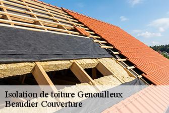 Isolation de toiture  genouilleux-01090 Beaudier Couverture 