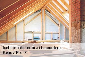 Isolation de toiture  genouilleux-01090 Renov Pro 01