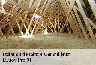 Isolation de toiture  genouilleux-01090 Renov Pro 01