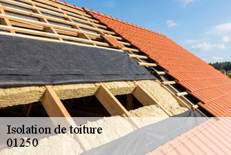 Isolation de toiture grand-corent-01250 Kenji Lagrenee Couverture