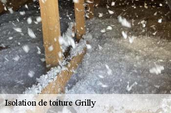 Isolation de toiture  grilly-01220 