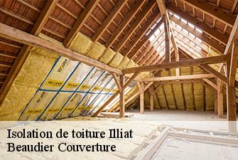 Isolation de toiture  illiat-01140 Beaudier Couverture 