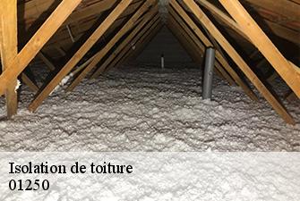 Isolation de toiture  jasseron-01250 Renov Pro 01