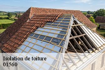 Isolation de toiture  lescheroux-01560 Beaudier Couverture 