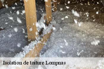 Isolation de toiture  lompnas-01680 