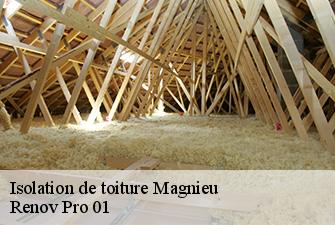 Isolation de toiture  magnieu-01300 Renov Pro 01