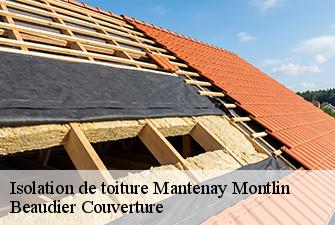 Isolation de toiture  mantenay-montlin-01560 Beaudier Couverture 