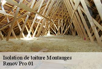 Isolation de toiture  montanges-01200 Renov Pro 01