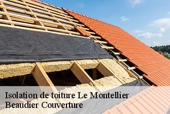Isolation de toiture  le-montellier-01800 Beaudier Couverture 
