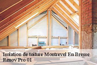 Isolation de toiture  montrevel-en-bresse-01340 Renov Pro 01
