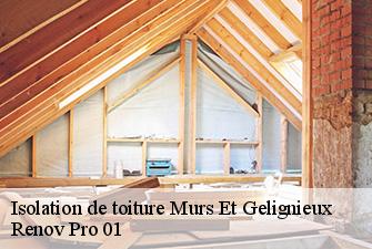 Isolation de toiture  murs-et-gelignieux-01300 Renov Pro 01