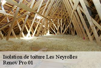 Isolation de toiture  les-neyrolles-01130 Renov Pro 01