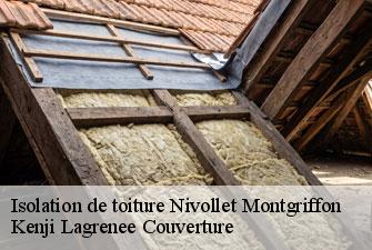 Isolation de toiture nivollet-montgriffon-01230 Kenji Lagrenee Couverture