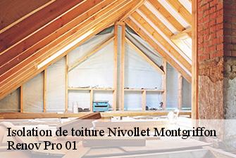 Isolation de toiture  nivollet-montgriffon-01230 Renov Pro 01