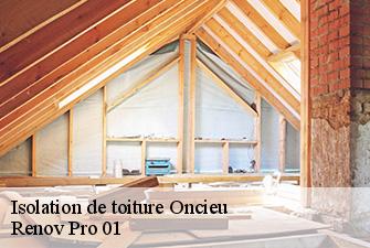 Isolation de toiture  oncieu-01230 Renov Pro 01