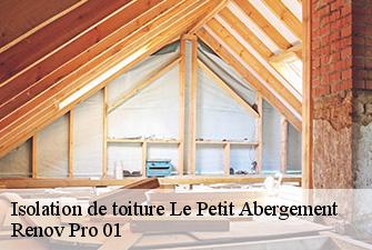 Isolation de toiture  le-petit-abergement-01260 Renov Pro 01