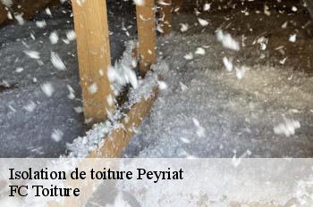 Isolation de toiture  peyriat-01430 