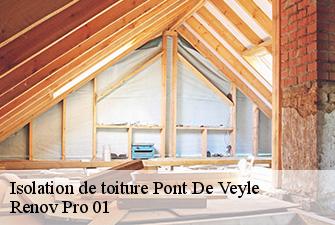Isolation de toiture  pont-de-veyle-01290 Renov Pro 01