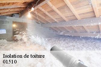 Isolation de toiture  pugieu-01510 Renov Pro 01