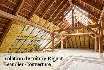 Isolation de toiture  rignat-01250 Beaudier Couverture 