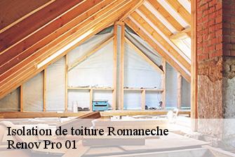 Isolation de toiture  romaneche-01250 Renov Pro 01