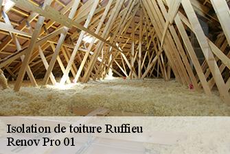 Isolation de toiture  ruffieu-01260 Renov Pro 01