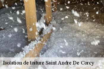 Isolation de toiture  saint-andre-de-corcy-01390 