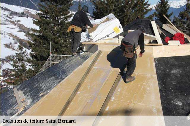 Isolation de toiture  saint-bernard-01600 