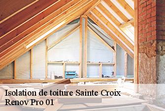 Isolation de toiture  sainte-croix-01120 Renov Pro 01