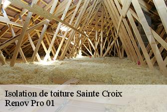 Isolation de toiture  sainte-croix-01120 Renov Pro 01