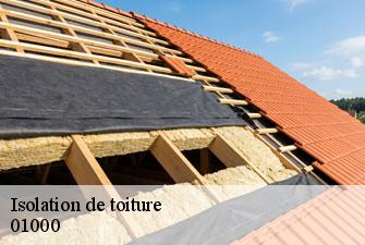 Isolation de toiture saint-denis-les-bourg-01000 Kenji Lagrenee Couverture