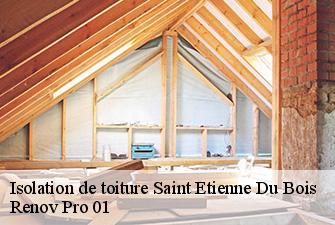 Isolation de toiture  saint-etienne-du-bois-01370 Renov Pro 01