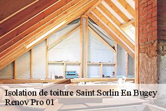 Isolation de toiture  saint-sorlin-en-bugey-01150 Renov Pro 01