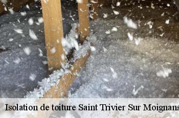 Isolation de toiture  saint-trivier-sur-moignans-01990 
