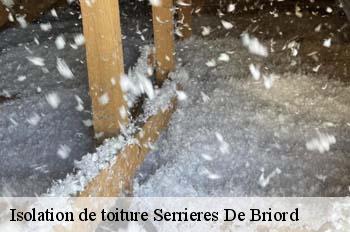 Isolation de toiture  serrieres-de-briord-01470 