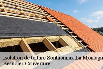 Isolation de toiture  sonthonnax-la-montagne-01580 Beaudier Couverture 