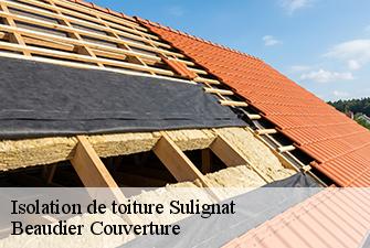 Isolation de toiture  sulignat-01400 Beaudier Couverture 