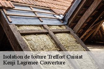 Isolation de toiture treffort-cuisiat-01370 Kenji Lagrenee Couverture