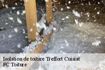 Isolation de toiture  treffort-cuisiat-01370 FC Toiture