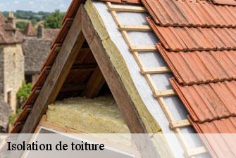 Isolation de toiture varambon-01160 Kenji Lagrenee Couverture
