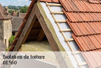 Isolation de toiture  vescours-01560 Beaudier Couverture 