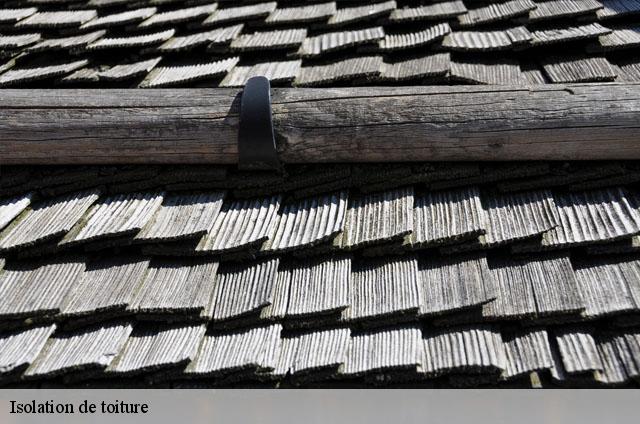 Isolation de toiture  vesines-01570 