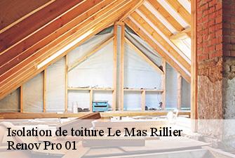 Isolation de toiture  le-mas-rillier-01700 Renov Pro 01