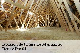 Isolation de toiture  le-mas-rillier-01700 Renov Pro 01