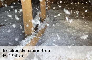 Isolation de toiture  brou-01000 FC Toiture
